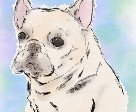 水彩風のやさしいタッチでペットの似顔絵を描きます ふんわり優しい線画で、大切な家族をイラストとして残します。 イメージ2