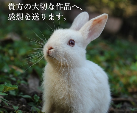 貴方の作品への感想を送ります 心を込めたサービス、選べる感想タイプ イメージ1
