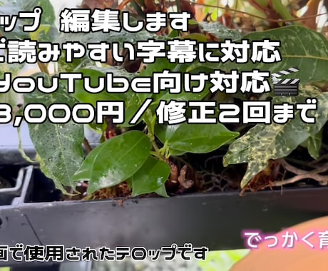 字幕のみ対応します。ご希望にあわせて編集します SNSやYouTube向け字幕、ていねいに編集します イメージ1