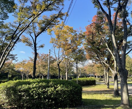 風景、花の画像提供します 風景、花、日常の写真提供します。 イメージ1