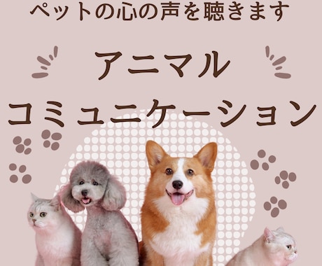アニマルコミュニケーションで動物さんと会話します ペットに伝えたいこと・聞きたいことを代わりに会話致します！ イメージ1