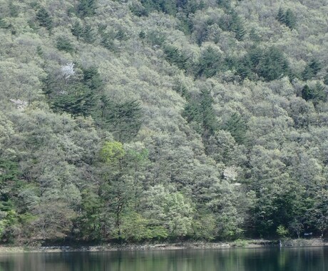 神奈川県内のお墓参りを代行致します 心を込めてご先祖様のお墓参り・お掃除を致します イメージ1