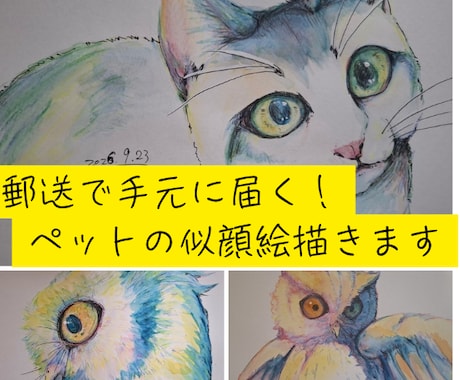 10名様限定！ペット似顔絵が3000円引になります イメージ1