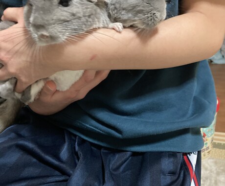 どんな悩みでも聞きます 全て吐きだして、軽い気持ちで笑える明日へ イメージ1