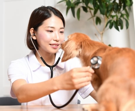 獣医志望の悩み相談承ります 国立獣医学生が志望校合格をサポート！ イメージ2