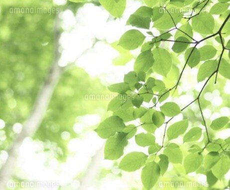 ナースな占い師があなたの不安に寄り添います 不安に寄り添い前を向く足掛かりを作ります。 イメージ1