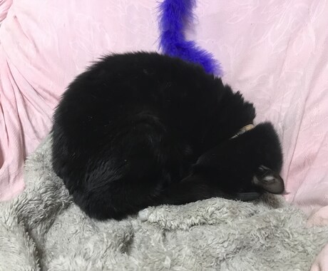 愚痴、恋愛相談ききます 恋愛に自信ない人、仕事の愚痴、悩み、ききます。 イメージ1