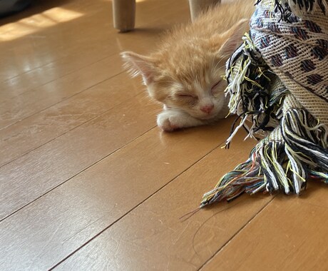 初めての出品です（笑）話し相手になります 小さな悩み事でも是非！楽しく話しましょ！ イメージ2