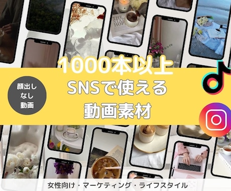 SNSで使える顔出しなし動画素材提供します 1000本以上の大量動画をcanvaでそのまま編集可の動画集 イメージ1