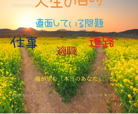 直面している問題、仕事進路のメッセージお伝えします オラクルカードは、当たる当たらないではなくアドバイスです イメージ1