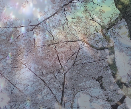 あなたから伝わるイメージをお伝えします お花や風、今のあなたから伝わるイメージを。 イメージ1