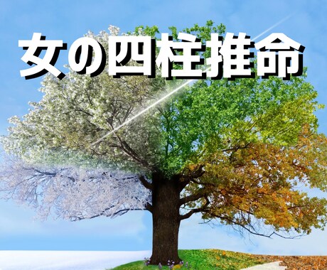 女の四柱推命｜大人の女性のための鑑定をします 生まれ持った才能、運命を四柱推命からお伝えします イメージ1