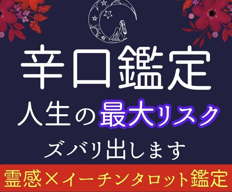 あなたの人生の『致命傷』最大リスクを診断します 正直鑑定｜恋や仕事の停滞を解消したい方へ・24H イメージ1