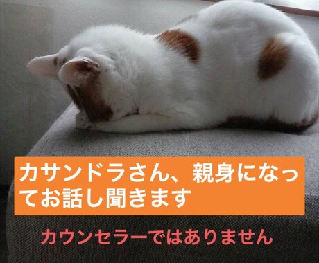 カサンドラさん、チャットでお話3時間聞きます 孤独を感じてるあなた、あなたは独りじゃありません。 イメージ1