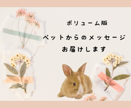 ボリューム版ペットからのメッセージをお届けします 大事なパートナー家族である動物たちのメッセージを聞きたい方へ イメージ1
