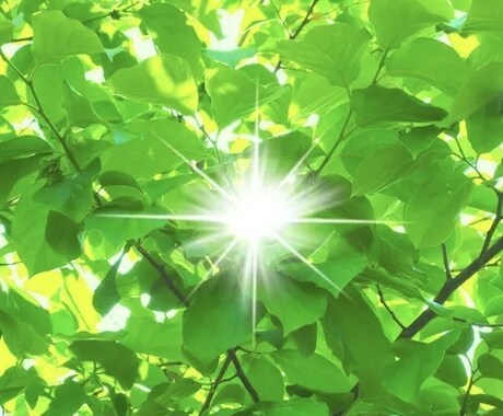 四柱推命と算命学から鑑定します あなたの本質、人生のバロメータを読み解きます イメージ1