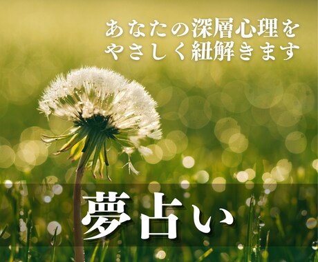 夢の意味を、心に寄り添いながら丁寧に読み解きます あなたの深層心理を夢から読み解き、心を整えます イメージ1