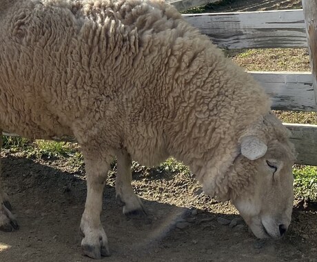 あなたや家族の障害、病気のこと専門的にお伺いします 社会福祉・精神保健福祉士が心地良い生活をお手伝いします。 イメージ1