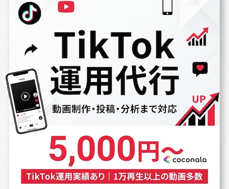 TikTokの動画制作・運用代行します TikTokの動画制作、投稿・分析まで、運用をサポートします イメージ1