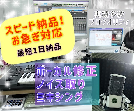 最速1日〜ボーカル修正、ノイズ処理、ミックスします お急ぎ◎スピード納品（要問合せ）実績多数のプロクオリティ イメージ1