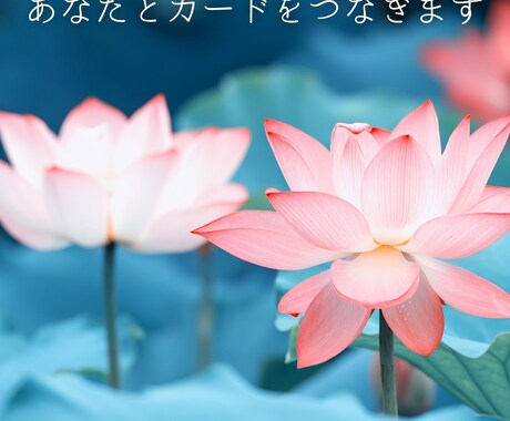 恋愛鑑定☆恋のお悩みなら何でも占いお聞きします 相手の気持ち・複雑恋愛・片思い・復縁など恋愛全般お悩み イメージ2