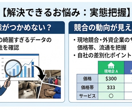 ベトナム現地調査を専門家が代行します ベトナム在住歴10年・現地取材に基づくリアルなレポート イメージ2