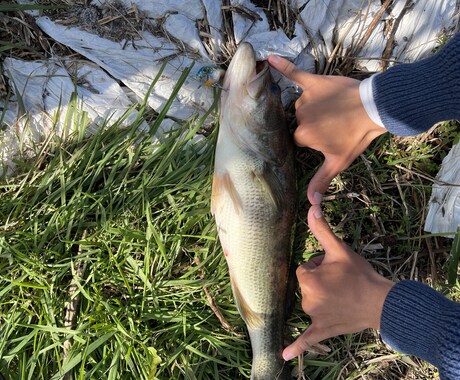 バス釣りをしている人へ、釣果の上げ方教えます バス釣りをひたすら続けてきたのでノウハウを全て伝えたいです。 イメージ2