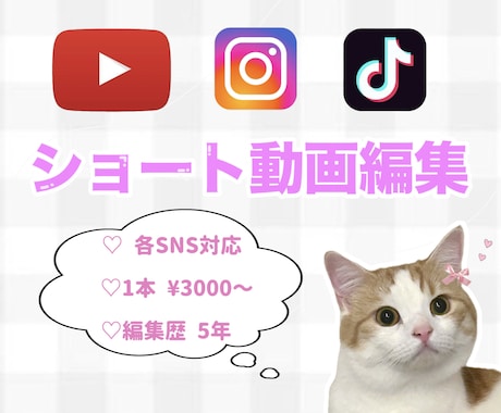 各SNS対応しております 丁寧なヒアリングとゆったり安心納期でショート動画を制作 イメージ1
