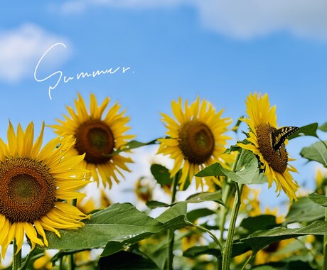 あなたの写真に手書き文字を添えます 心に届く、優しい手書き文字つくります イメージ2