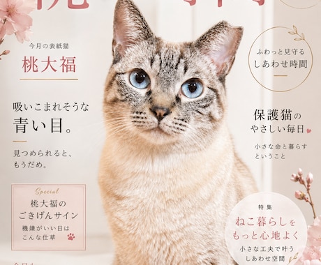 うちの子、雑誌デビューします ペット写真を表紙みたいな一枚に イメージ1