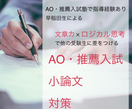 あなたの小論文を４つの評価基準のもと添削します 【2回まで繰り返し添削】どんな問題文でも柔軟に対応できる力を イメージ1