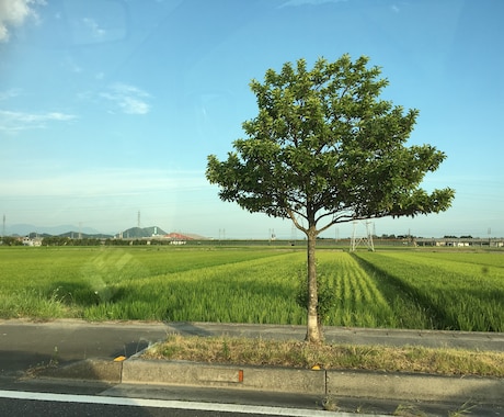配偶者と別居したい方相談に乗ります あなたの第二の人生応援します。輝く人生を送りたい方のために。 イメージ1