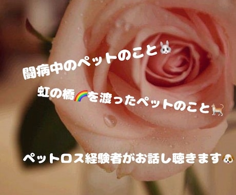 度々ペットを失った経験者が貴方の心に寄り添います 大切なペットの病気や喪失の悲しみ、何でも打ち明けて下さい❤️ イメージ1