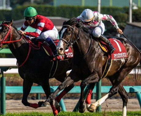 競馬予想致します 競馬予想日曜日のみ1ヶ月3,000円 イメージ1