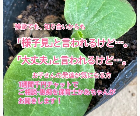保育士、子育てかぁちゃんが話を聞きます 検診では「様子見」「大丈夫」と言われるけどそんな不安聞きます イメージ1