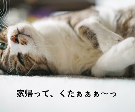 女性限定☆日常のお悩み伺います 人に話すことでびっくりするほど心が軽くなります♪ イメージ2