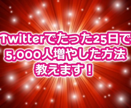 簡単！Twitterのフォロワーの増やし方教えます Twitterでフォロワーを25日で5,000人増やした方法 イメージ2