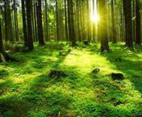 お悩みから有意識・無意識を確認し答えを導きます 恋愛、私生活、仕事に悩んでいる貴方。抱えず話してみませんか? イメージ1