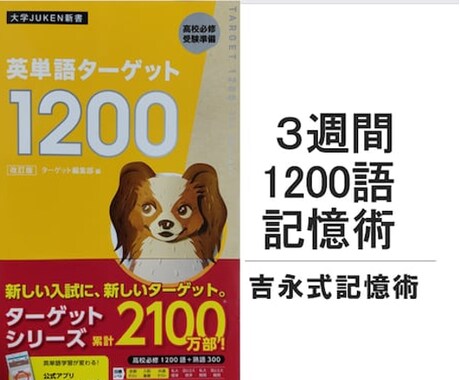 英単語を覚えたい方、通訳官だった私がサポートします 吉永式記憶術を使い 英単語暗記の苦痛からあなたを解放します。 イメージ2