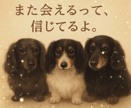 天国の愛犬から届く想いを占います ：大切な家族の声をやさしくお伝えします イメージ1