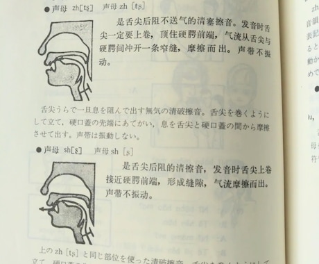 丨発音矯正丨中国語の発音を極めたい方、募集します ✅発音矯正したい人も、さらに高い中国語レベルを求める人も イメージ1