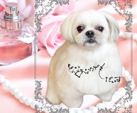 愛しているペットの気持ち♡ペットロスのお話聞きます 楽しい思い出♡一緒に過ごした日々♡ペットちゃんの話だけでも◎ イメージ1