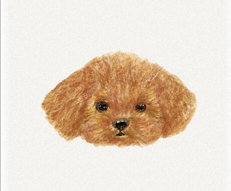 あなたの宝物なんでも描きます 全てJPG +PNG（透過素材）のセットです！ イメージ2
