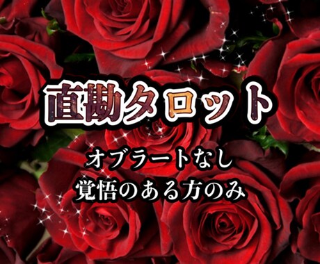 辛口になる可能性あり。覚悟のある方のみ、鑑定します 気休めの鑑定ではなく、現実をしっかり見ます。 イメージ1