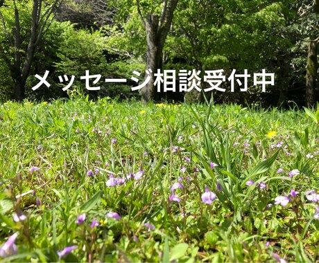 仕事や人間関係で悩んでませんか？相談に乗ります 悩みをカウンセラーに打ち明けることで、心を軽くしましょう イメージ1