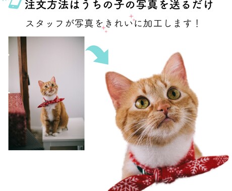 うちの子マグカップを制作します 写真でつくるオーダーメイド／名入れ・カラー選択OK イメージ2