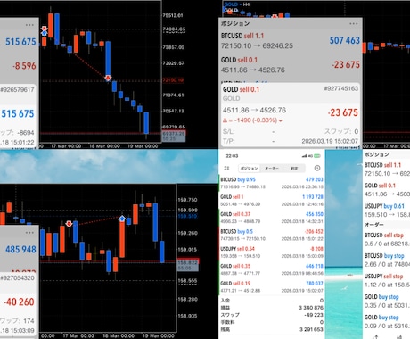 あなたのFXトレード手法パフォーマンスを改善します 複数の通貨ペアを負担なく同時運用も可能に イメージ2