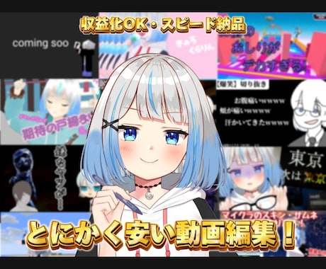 とにかく安く！SNS動画をプロが編集します YouTube・Tiktok・Instagram対応！！ イメージ1