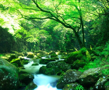 恋愛/片思/結婚‼️相性,相手の気持ち,未来みます 九星気学⭐️姓名判断⭐️霊視にて更に深く鑑定 イメージ1