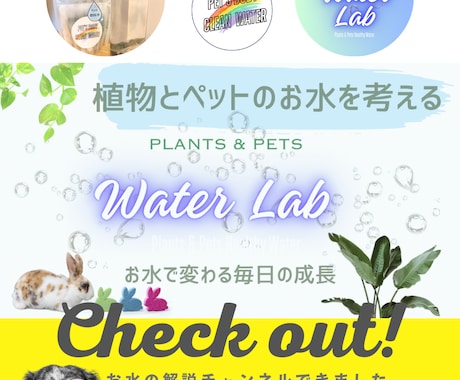 ペットのプロが制作！ペット専門広告作成します ペット業界26年犬、猫、小動物に特化した広告デザイン イメージ2